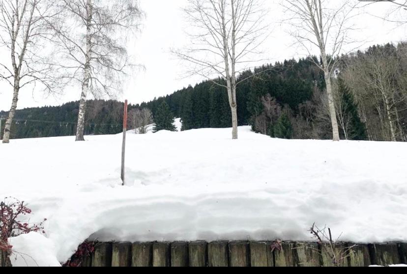 Fewo Alpenwiese Mit Hallenbad&Sauna Missen-Wilhams Luaran gambar