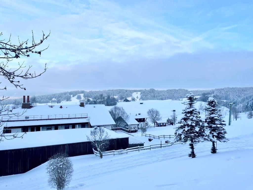 Fewo Alpenwiese Mit Hallenbad&Sauna Missen-Wilhams Luaran gambar