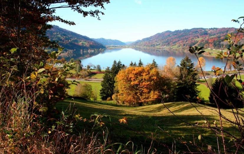 Fewo Alpenwiese Mit Hallenbad&Sauna Missen-Wilhams Luaran gambar
